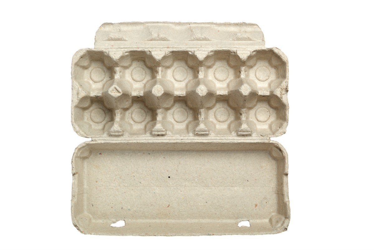 Use an Egg Carton for Painting Bolts and Screws | ThriftyFun