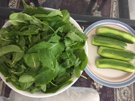Pork and Shrimp Spring Rolls