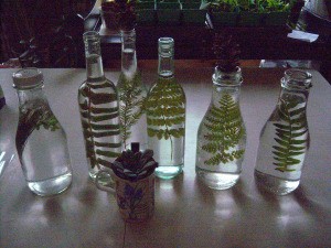 Pretty Botanical Centerpieces - several bottles and potted plant