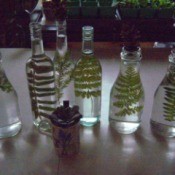 Pretty Botanical Centerpieces - several bottles and potted plant