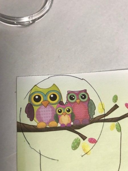 Clear Plastic Cap Magnets - trace around it using the cap and cut to fit