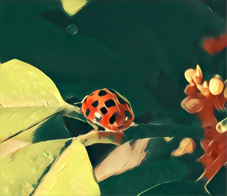 A ladybug on a plant.