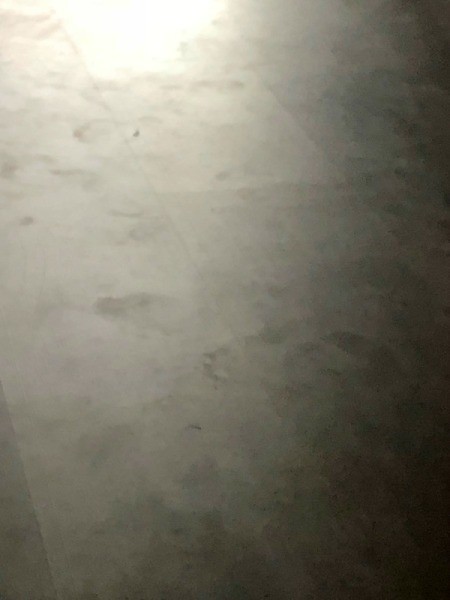 Laminated Flooring Has Stains and Smudges