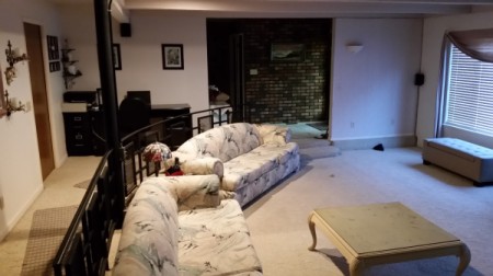 Living Room Paint and Carpet Color Advice