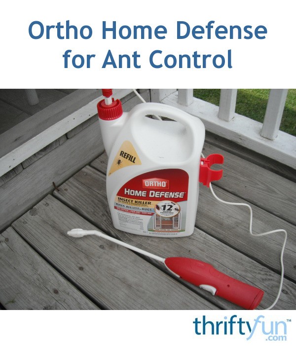 Ortho Home Defense for Ant Control ThriftyFun