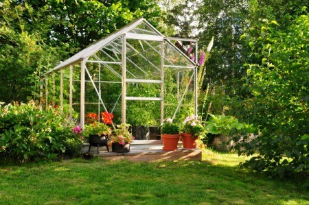 Greenhouse in a garden.