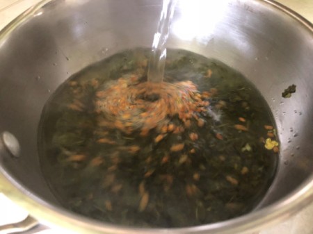 Green Tea in water
