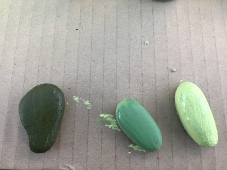 Decorative Stone Cactus - flip and paint the other side and allow to dry
