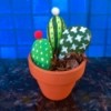 Decorative Stone Cactus - small terra cotta pot with super cute stone cactus