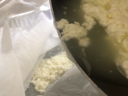 pouring separated milk through cheese cloth