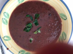 bowl of Black Bean Soup