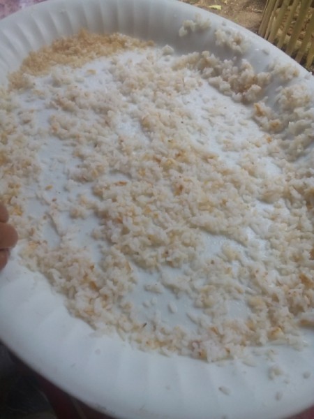 drying rice on plate