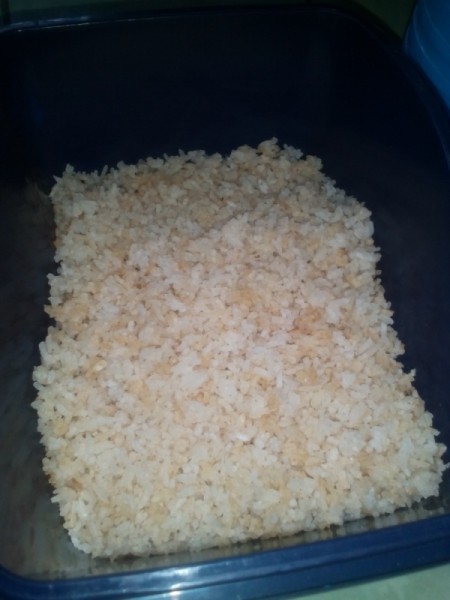 Puffed Rice in container