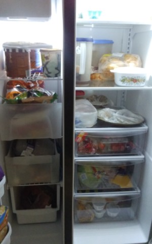 A two door fridge that is well organized.
