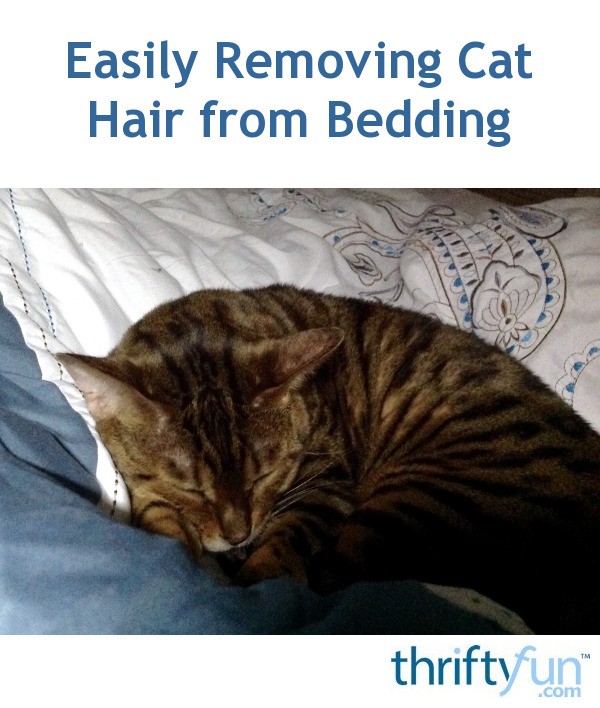 Easily Removing Cat Hair from Bedding? ThriftyFun