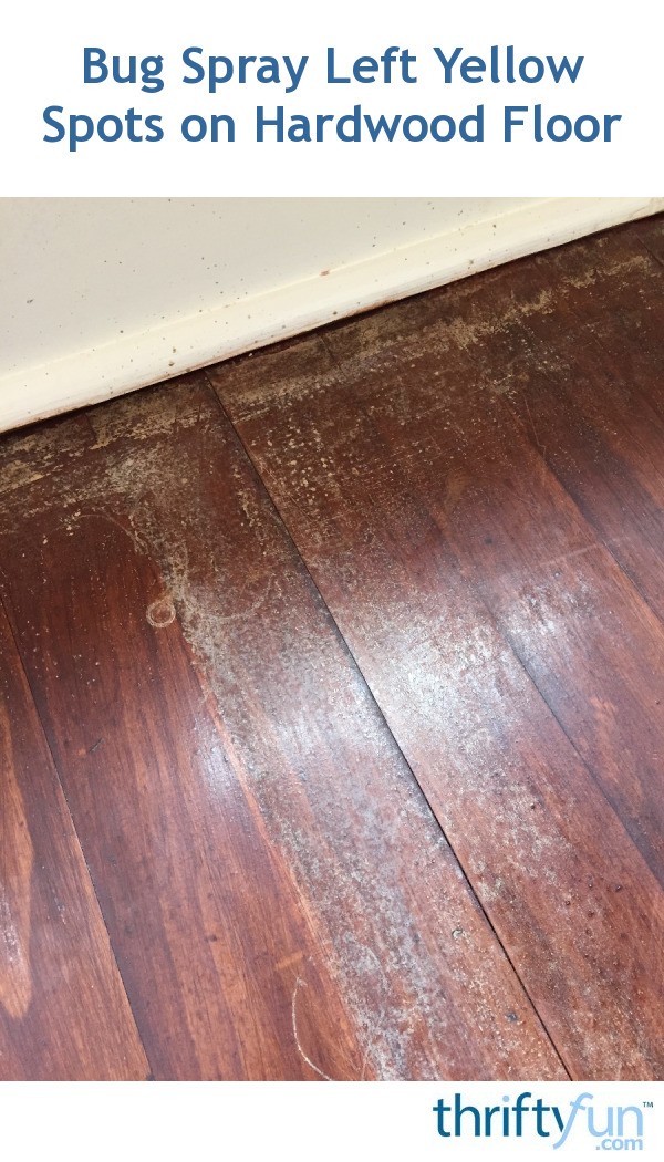 Bug Spray Left Yellow Spots on Hardwood Floor? ThriftyFun