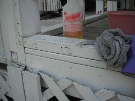 Awesome Cleaner from the Dollar Store