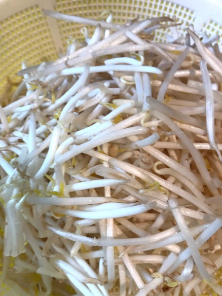 rinsed Bean Sprouts