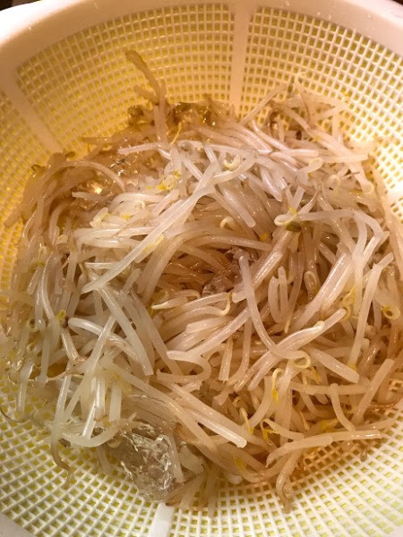 draining Bean Sprouts