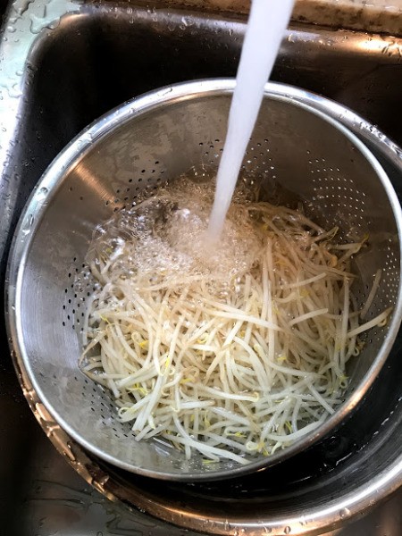 rinsing Bean Sprouts