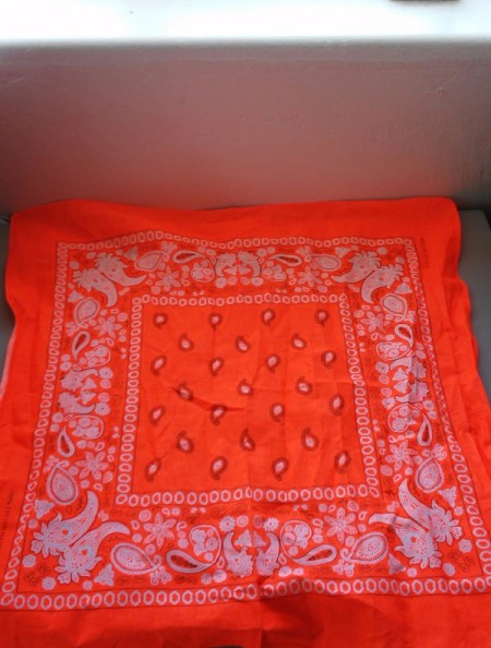 Bandana Butterfly - red bandana