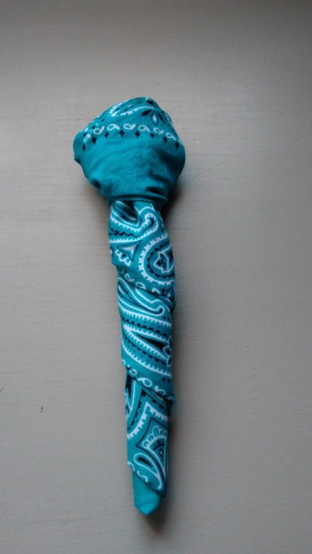 Bandana Butterfly - head from the front