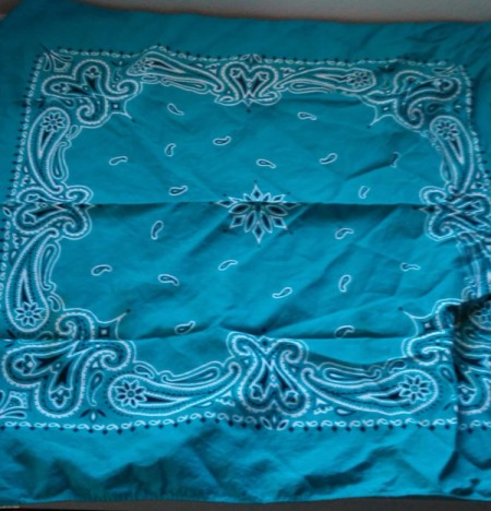 Bandana Butterfly - blue bandana