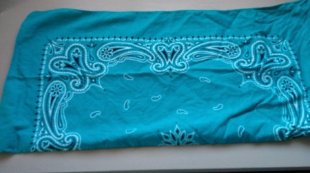 Bandana Butterfly - fold bandana in half