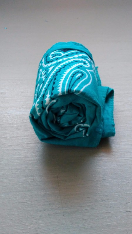 Bandana Butterfly - rolled bandana