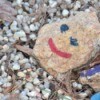 Garden of Smiles - Painted Rock