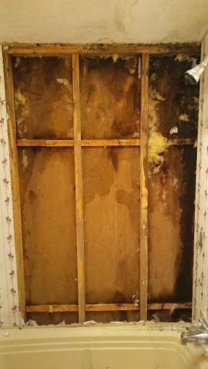 Financial Help to Remove Black Mold and Repair Walls - mold inside bathroom walls