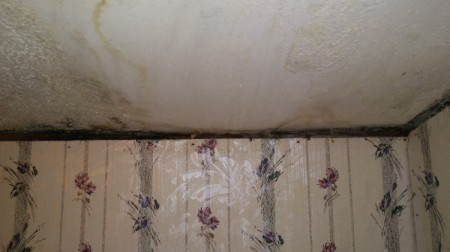 Financial Help to Remove Black Mold and Repair Walls