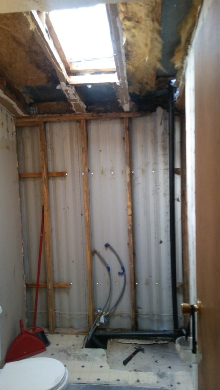 Financial Help to Remove Black Mold and Repair Walls