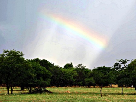 Rainbow in the Sky - partial rainbow