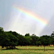 Rainbow in the Sky - partial rainbow