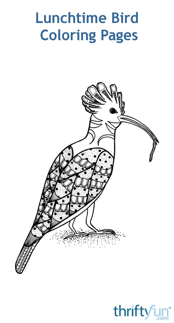 Download Lunchtime Bird Coloring Pages | ThriftyFun