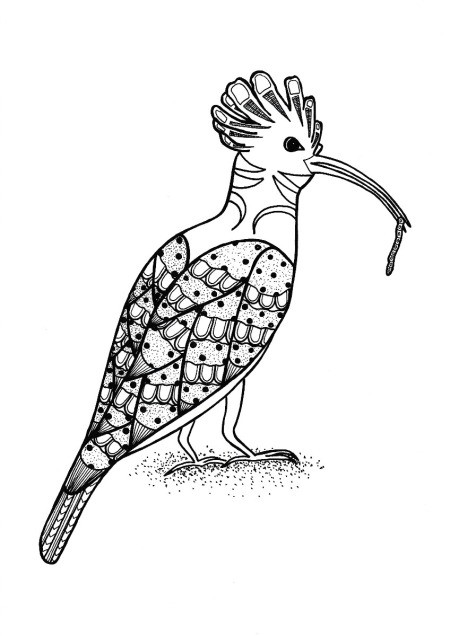 Lunchtime Bird Coloring Pages - bird with long curved beak