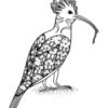 Lunchtime Bird Coloring Pages - bird with long curved beak