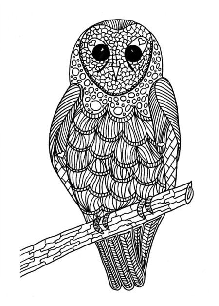 Lunchtime Bird Coloring Pages - owl