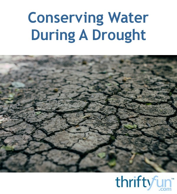 Conserving Water During A Drought | ThriftyFun