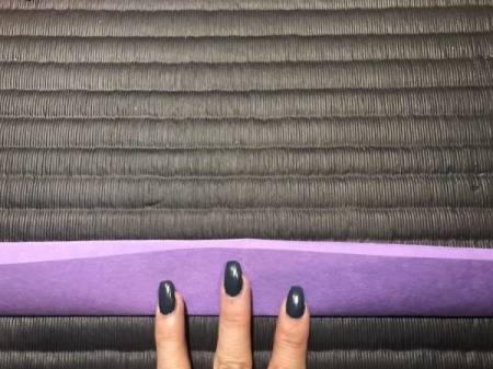 Paper Daisies - fold the reserved rectangle in half lengthwise