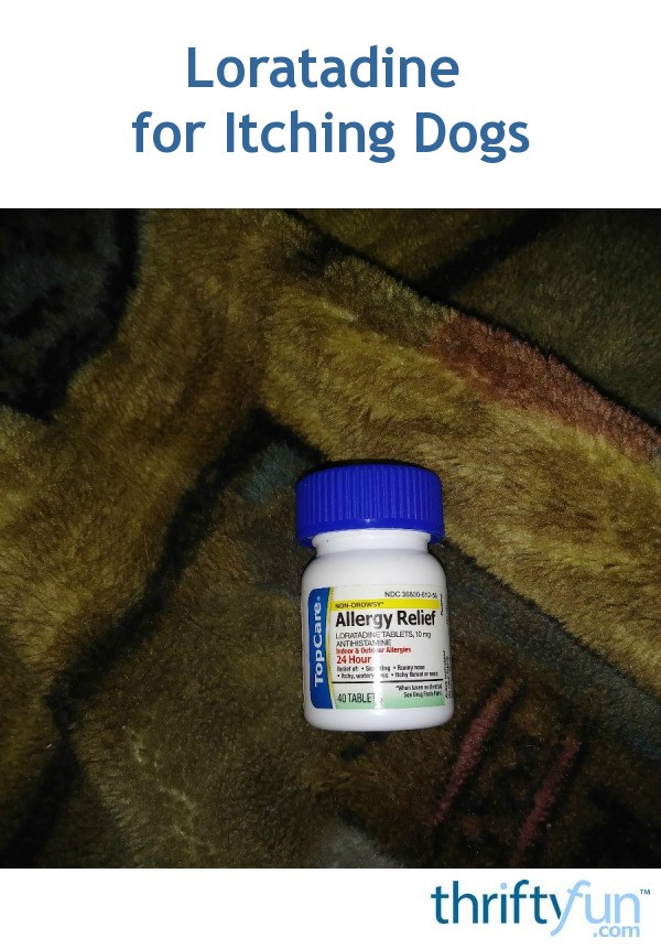 Loratadine for Itching Dogs ThriftyFun