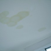 Watermarks on a ceiling.