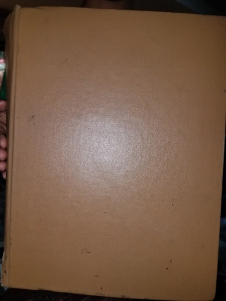 Value of a Webster's Dictionary