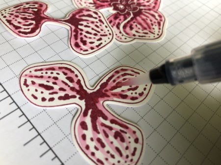 3D Orchid in a Jar Card - brush the marker lines with a wet brush
