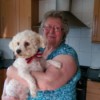 Dog Won't Eat Dog Food - woman holding a Bichon