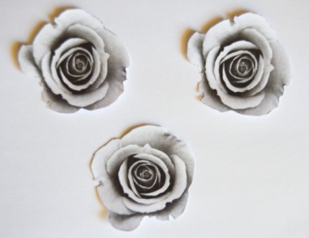 Antique Rose Upcycled Bottle Vase - roses cut out