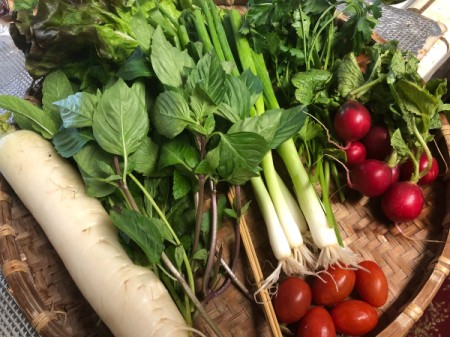 Fresh Herb and Veggie Bouquet - veggie supplies
