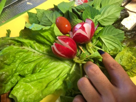 Fresh Herb and Veggie Bouquet - lay out layers of lettuce and herbs, top with dried radishes, daikon, and tomatoes