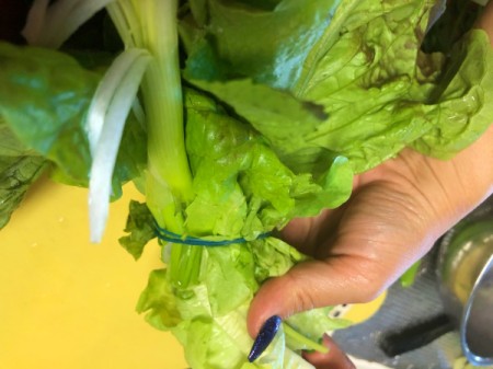 Fresh Herb and Veggie Bouquet - wrap the bouquet with a rubber band and trim the bottom
